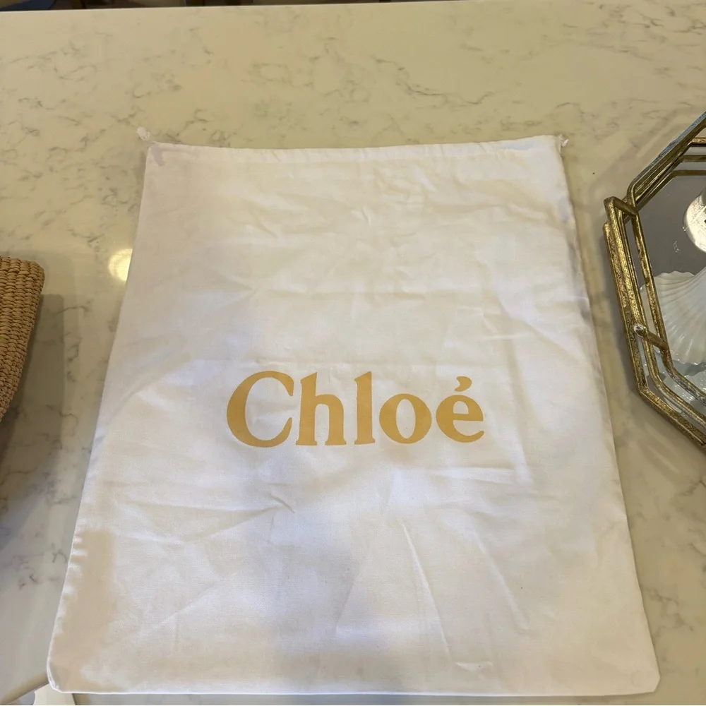 Chloe Woody White Large Basket Bag - Picture 4 of 7